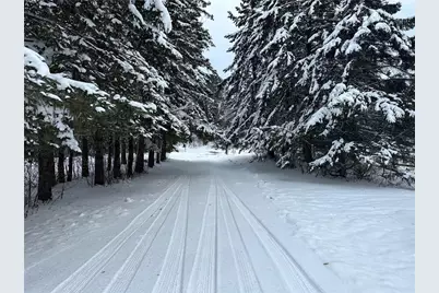 6901 Zett Road, Loretta, WI 54896 - Photo 5