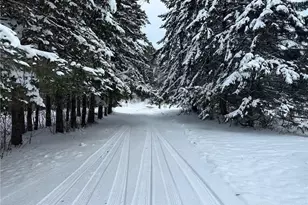 6901 Zett Rd, Loretta, WI 54896 - Photo 5