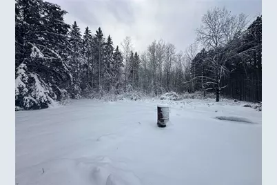 6901 Zett Road, Loretta, WI 54896 - Photo 9