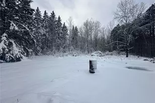 6901 Zett Rd, Loretta, WI 54896 - Photo 9