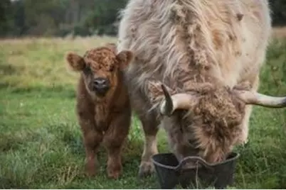 1543 6 1/2 Avenue, Hillsdale, WI 54733 - Photo 17