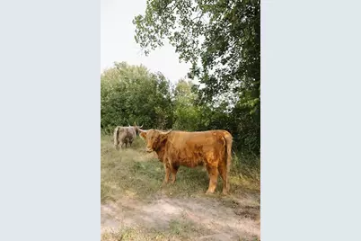 1543 6 1/2 Avenue, Hillsdale, WI 54733 - Photo 29