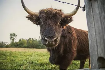 1543 6 1/2 Avenue, Hillsdale, WI 54733 - Photo 23