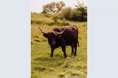 1543 6 1/2 Avenue, Hillsdale, WI 54733 - Photo 39