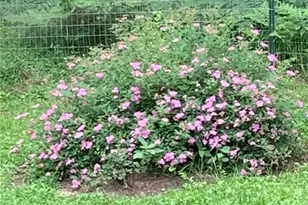 43725 Kavanaugh Rd, Cable, WI 54821 - Photo 33