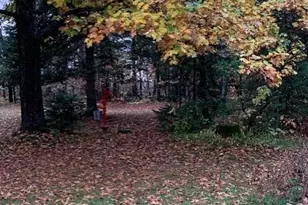 43725 Kavanaugh Rd, Cable, WI 54821 - Photo 31