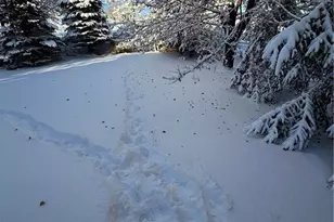 915 28th Ave, Menomonie, WI 54751 - Photo 13