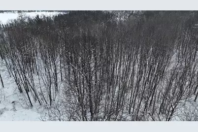 Lot 46 Holly Lake Lane, Stone Lake, WI 54876 - Photo 7