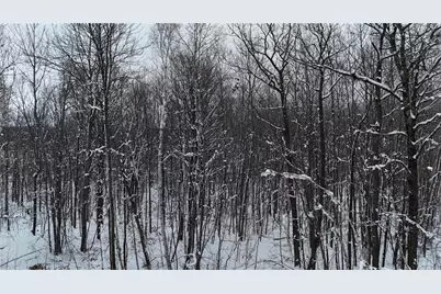 Lot 46 Holly Lake Lane, Stone Lake, WI 54876 - Photo 5