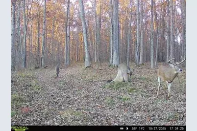 000 Badger Avenue, Granton, WI 54436 - Photo 49