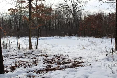 000 Badger Avenue, Granton, WI 54436 - Photo 23