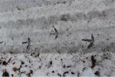 000 Badger Avenue, Granton, WI 54436 - Photo 43