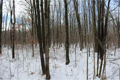 000 Badger Avenue, Granton, WI 54436 - Photo 39