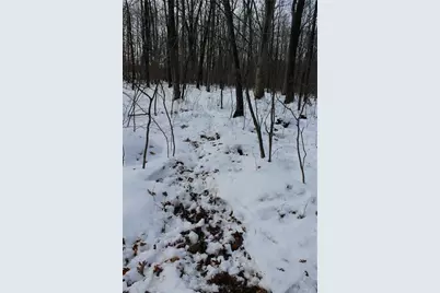 000 Badger Avenue, Granton, WI 54436 - Photo 19