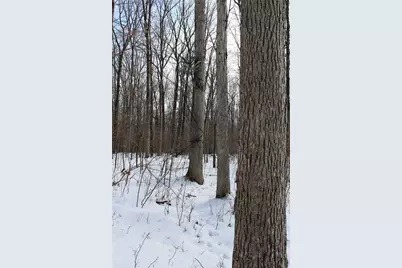 000 Badger Avenue, Granton, WI 54436 - Photo 35