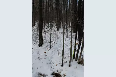 000 Badger Avenue, Granton, WI 54436 - Photo 3