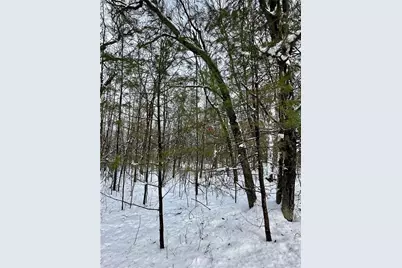 27735 295th Avenue, Holcombe, WI 54745 - Photo 19