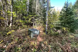 8182 W Nowak Rd, Hayward, WI 54843 - Photo 11