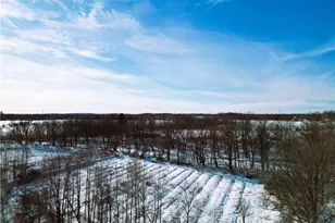 N2639 Vine St, Conrath, WI 54731 - Photo 27