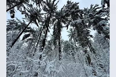 N7785 780th Street, Colfax, WI 54730 - Photo 21