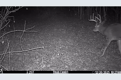 N7785 780th Street, Colfax, WI 54730 - Photo 9