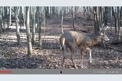 N7785 780th Street, Colfax, WI 54730 - Photo 5