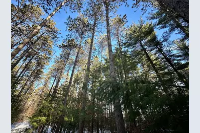 N7785 780th Street, Colfax, WI 54730 - Photo 13