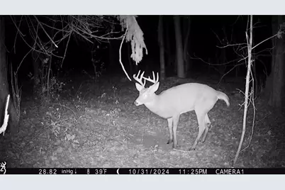 N7785 780th Street, Colfax, WI 54730 - Photo 25