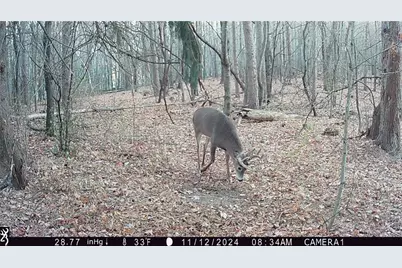 N7785 780th Street, Colfax, WI 54730 - Photo 23