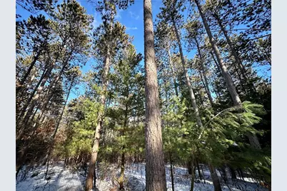 N7785 780th Street, Colfax, WI 54730 - Photo 19