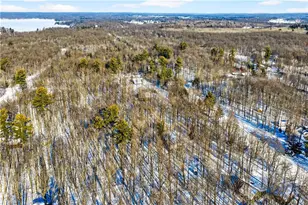 2738 28 3/8 St, Birchwood, WI 54817 - Photo 55