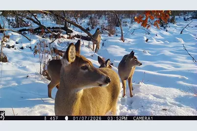 1581 50th Street, Beaver, WI 54889 - Photo 7