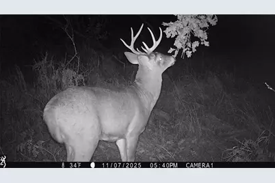 1581 50th Street, Beaver, WI 54889 - Photo 15