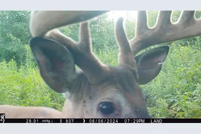 1581 50th Street, Beaver, WI 54889 - Photo 11