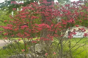 30345 136th St, New Auburn, WI 54757 - Photo 7