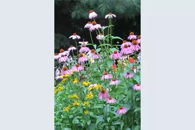 8749 164th Street, Chippewa Falls, WI 54729 - Photo 39