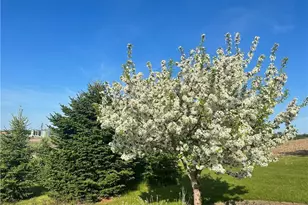 1747 E Drinkman Ln, Eau Claire, WI 54701 - Photo 7