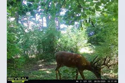 E10034 331st Avenue, Eau Claire, WI 54703 - Photo 59