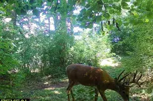 E10034 331st Ave, Eau Claire, WI 54703 - Photo 59