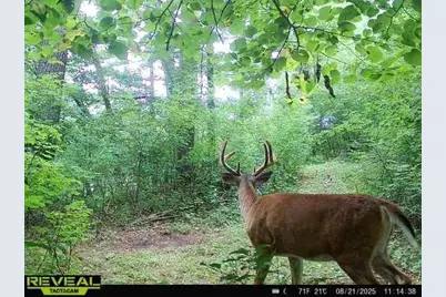 E10034 331st Avenue, Eau Claire, WI 54703 - Photo 57