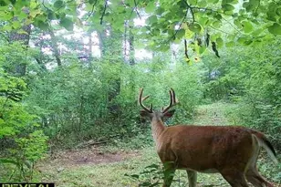 E10034 331st Ave, Eau Claire, WI 54703 - Photo 57