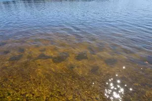 W2891 Todd Pk Rd, Sarona, WI 54870 - Photo 55