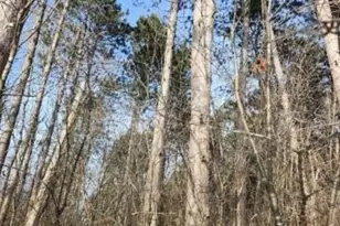 5940 Tower Dr, Eau Claire, WI 54703 - Photo 29