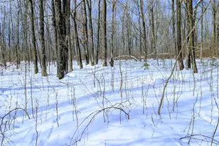 W6660 Cozine Rd, Ladysmith, WI 54848 - Photo 45