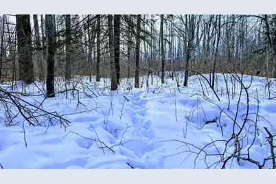 W6660 Cozine Road, Ladysmith, WI 54848 - Photo 55