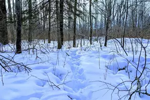 W6660 Cozine Rd, Ladysmith, WI 54848 - Photo 55