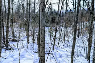 W6660 Cozine Rd, Ladysmith, WI 54848 - Photo 57