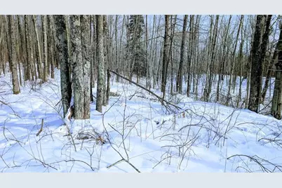 W6660 Cozine Road, Ladysmith, WI 54848 - Photo 47