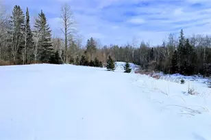 W6660 Cozine Rd, Ladysmith, WI 54848 - Photo 39