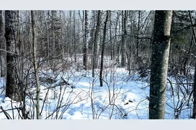 W6660 Cozine Road, Ladysmith, WI 54848 - Photo 59